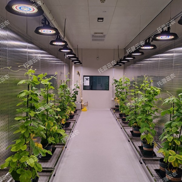 植物生長(zhǎng)室