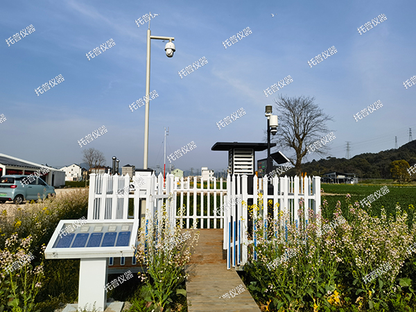 1727142352466784.jpg 5.jpg