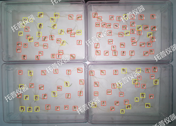 1744610697892644.png 圖片5.png