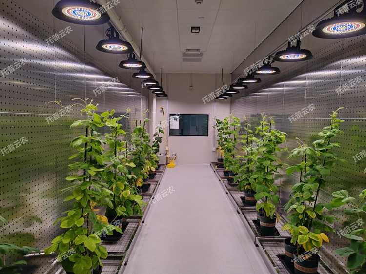 1773649414161803.png 圖片1.png