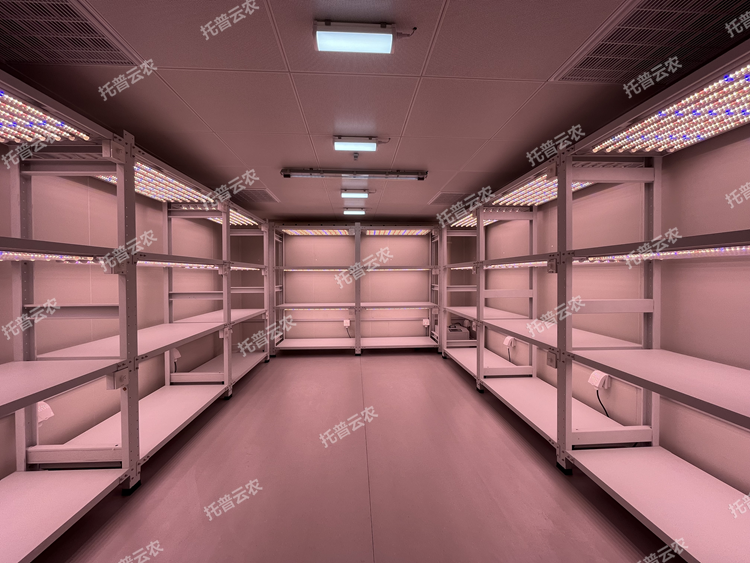 1773650266986772.png 圖片7.png