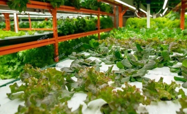 1773818085766054.jpg 圖片15.jpg