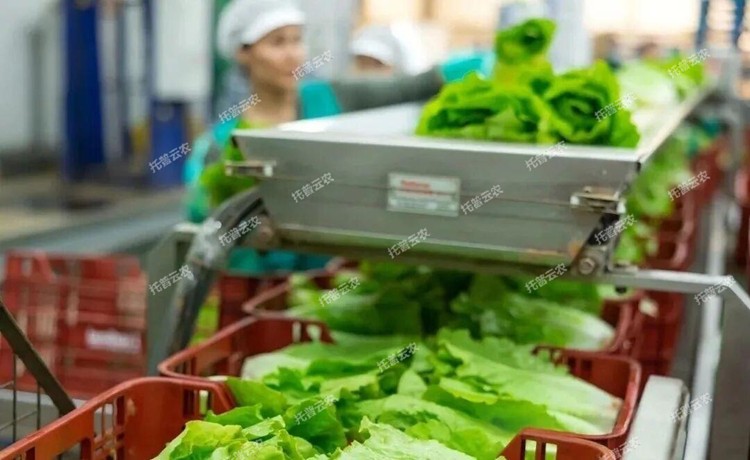 1773818098637765.jpg 圖片16.jpg