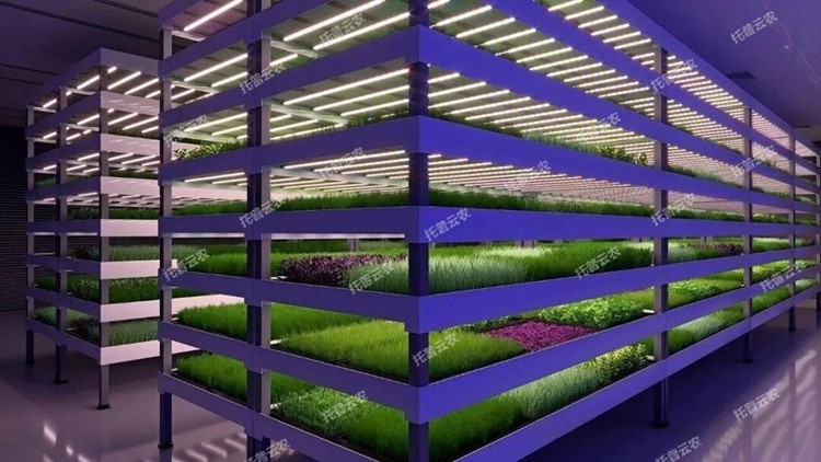 1773818110490772.jpg 圖片17.jpg