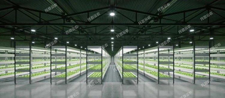 1773818126269290.jpg 圖片18.jpg