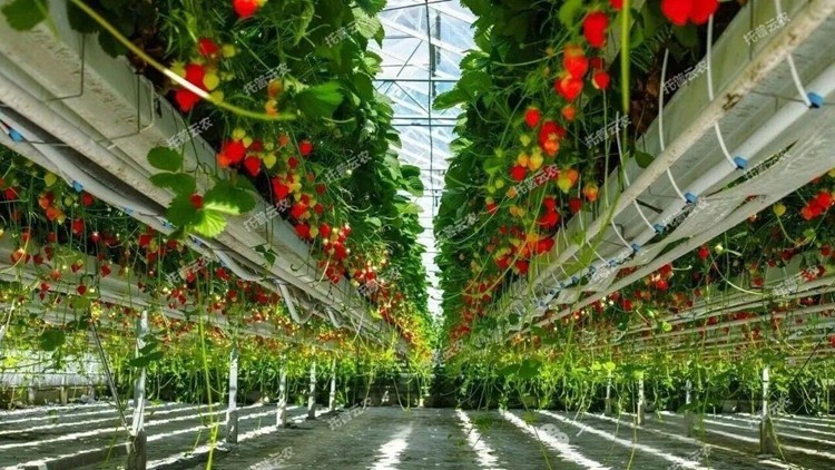 1773818150346071.jpg 圖片20.jpg