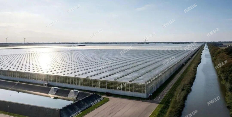 1773818171726529.jpg 圖片22.jpg