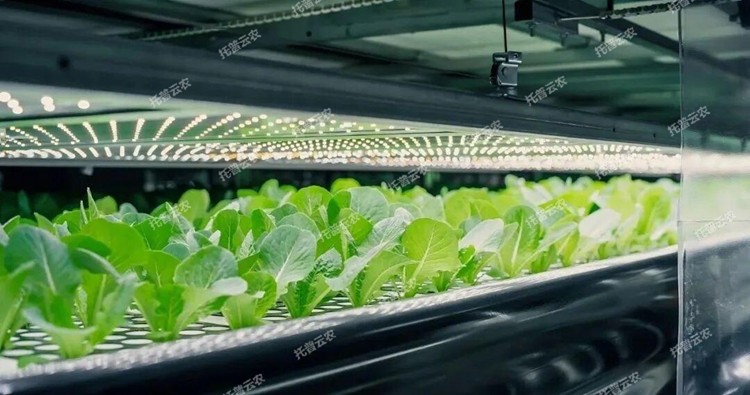 1773818371411041.jpg 圖片1.jpg