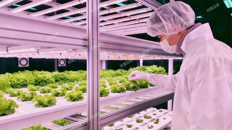 1773818452937543.jpg 圖片4.jpg