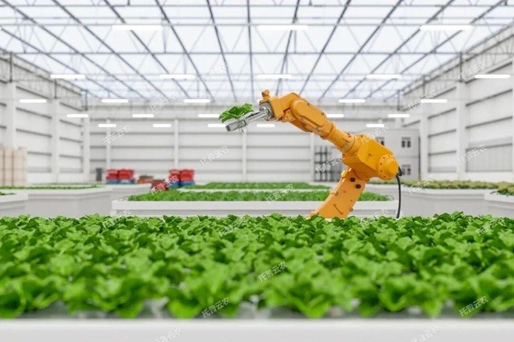 1773818513189314.jpg 圖片5.jpg